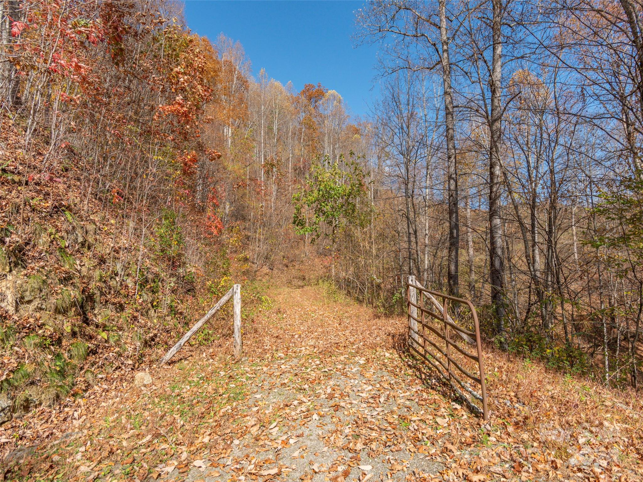 a view of a pathway with a yard