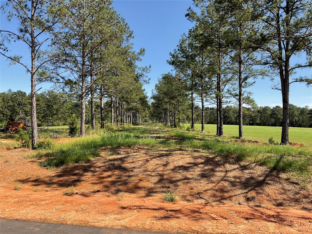 a view of a park