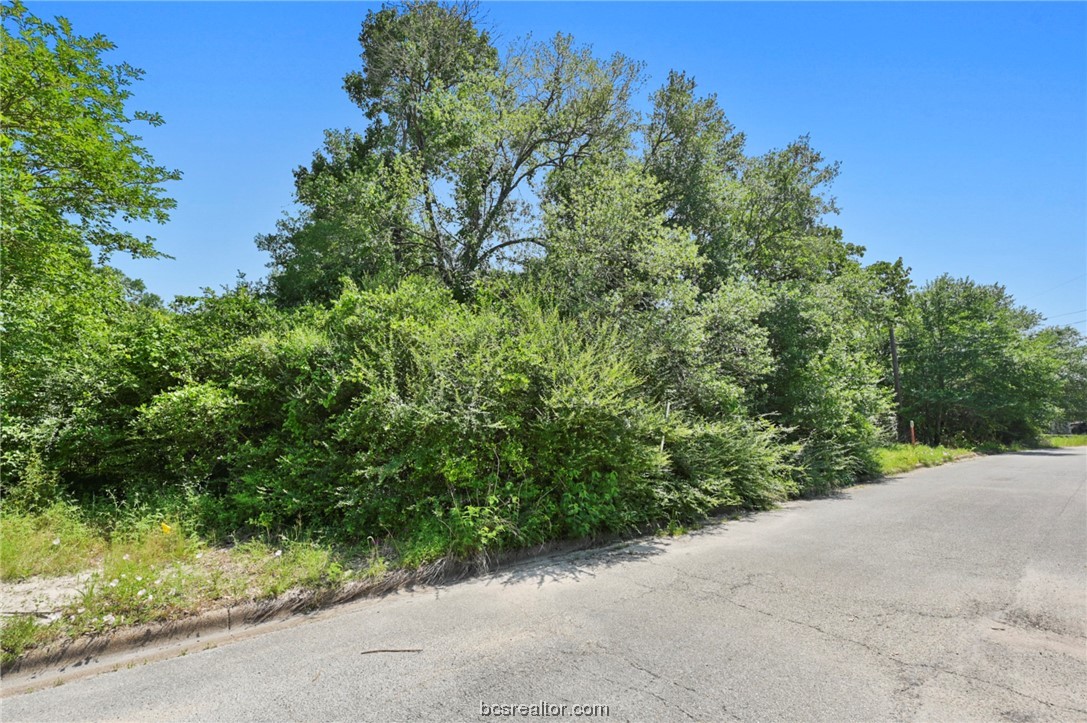 a view of a road with a garden