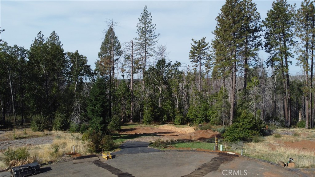 a view of a yard with trees in the background