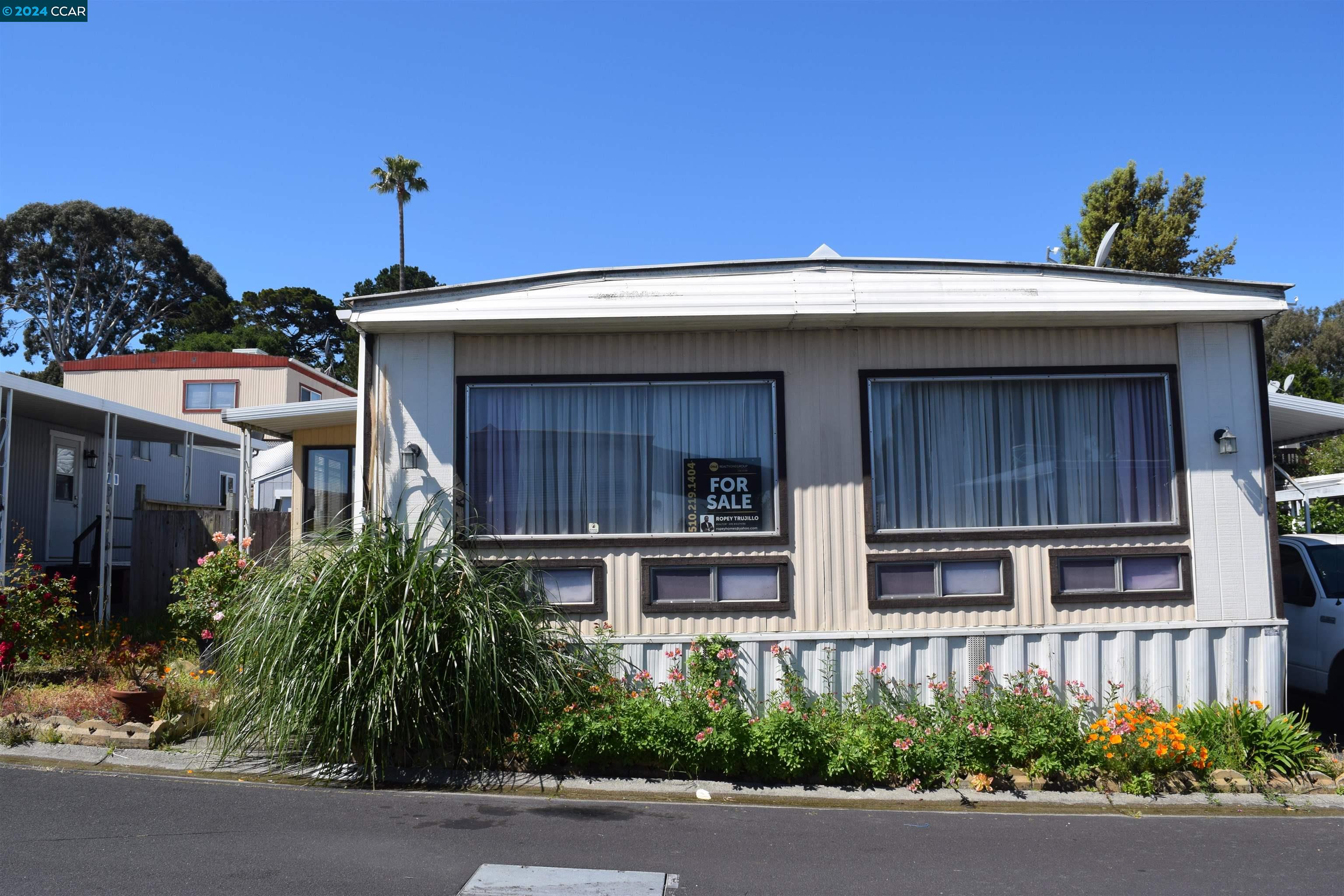 a view of a house with potted plants