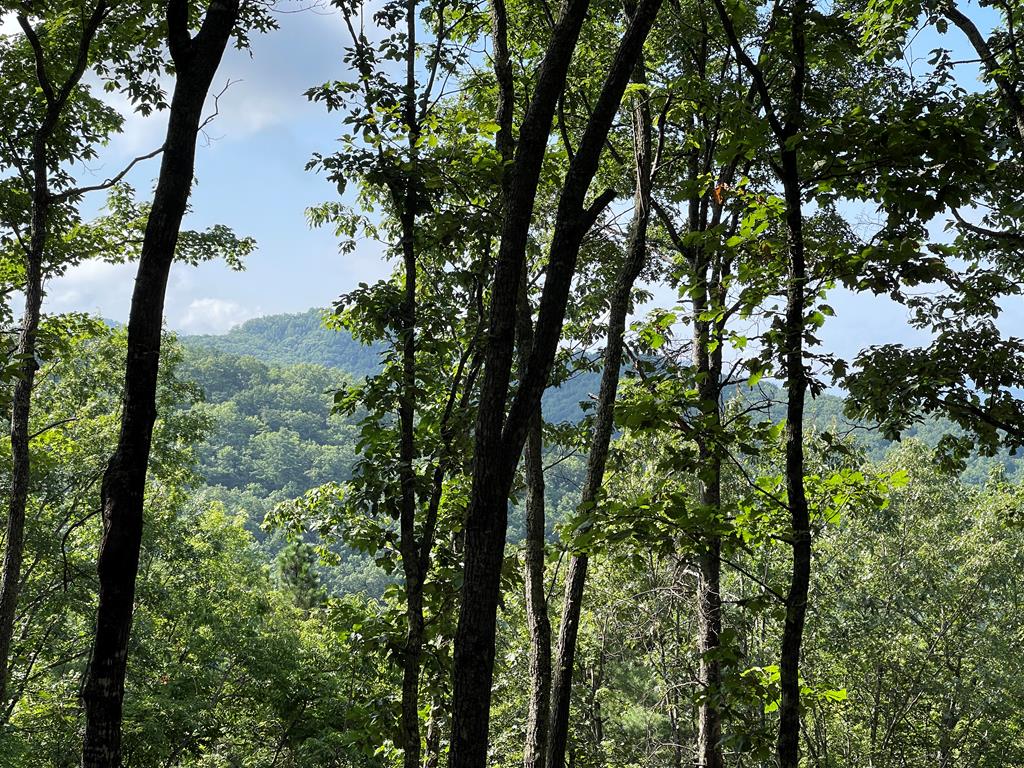 a view of outdoor space and mountain view