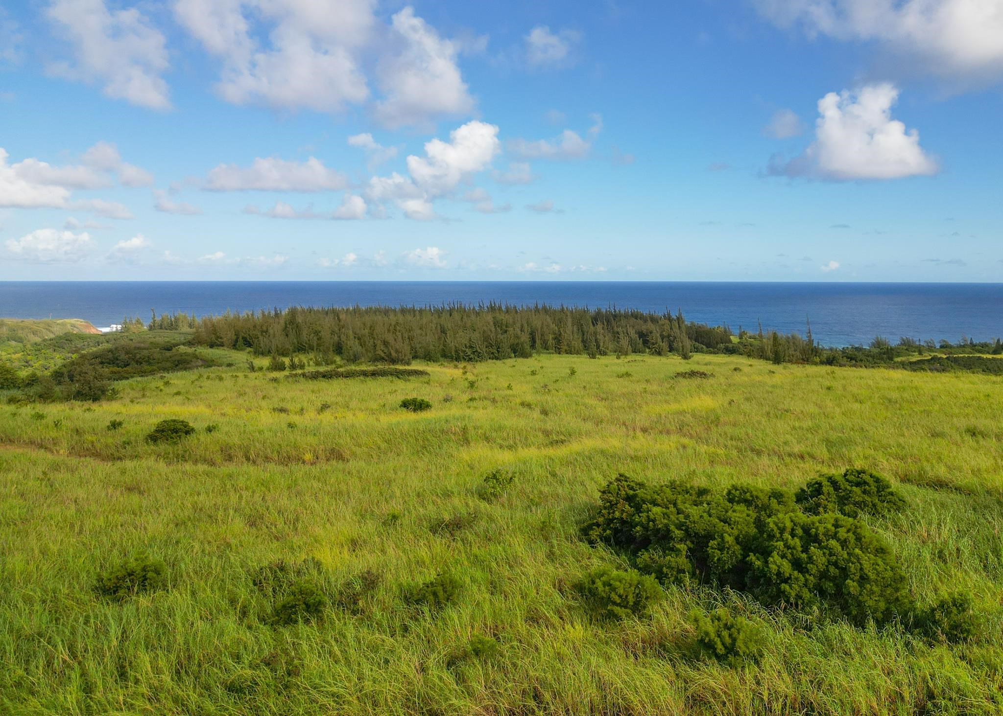 a view of an ocean and beach