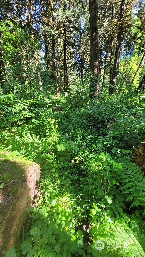 a backyard of a house with lots of green space