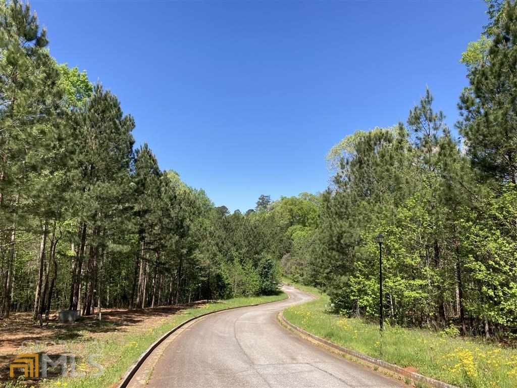 a view of a park with large trees