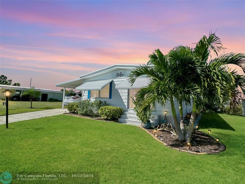 a view of a backyard with potted plants and palm trees