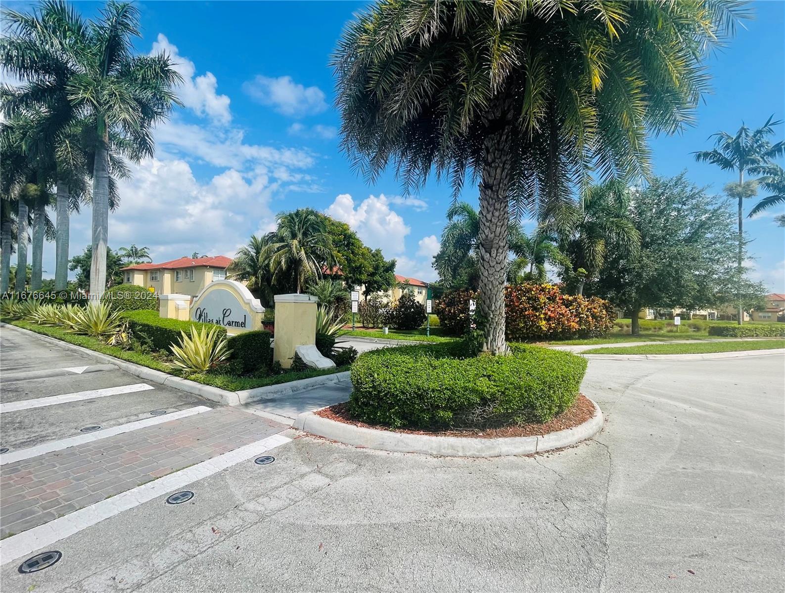 a view of a garden with palm trees