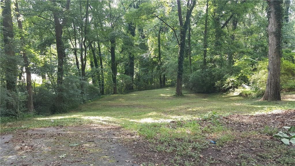 a view of a yard with a trees