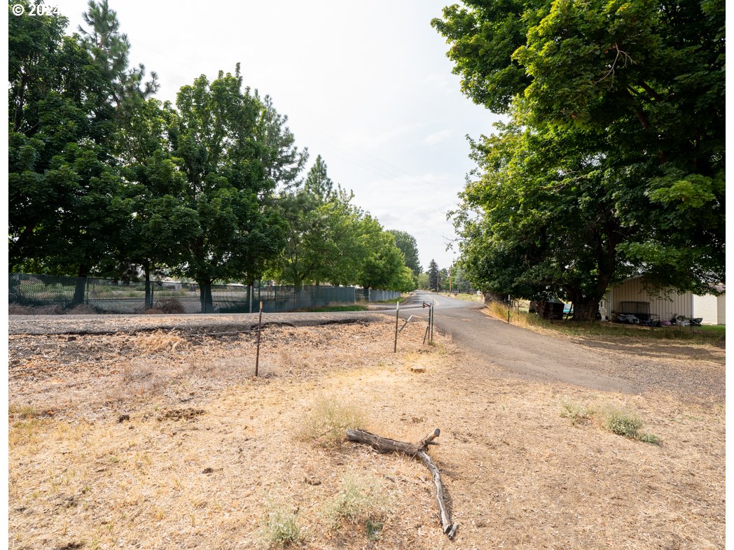 a view of a yard with trees