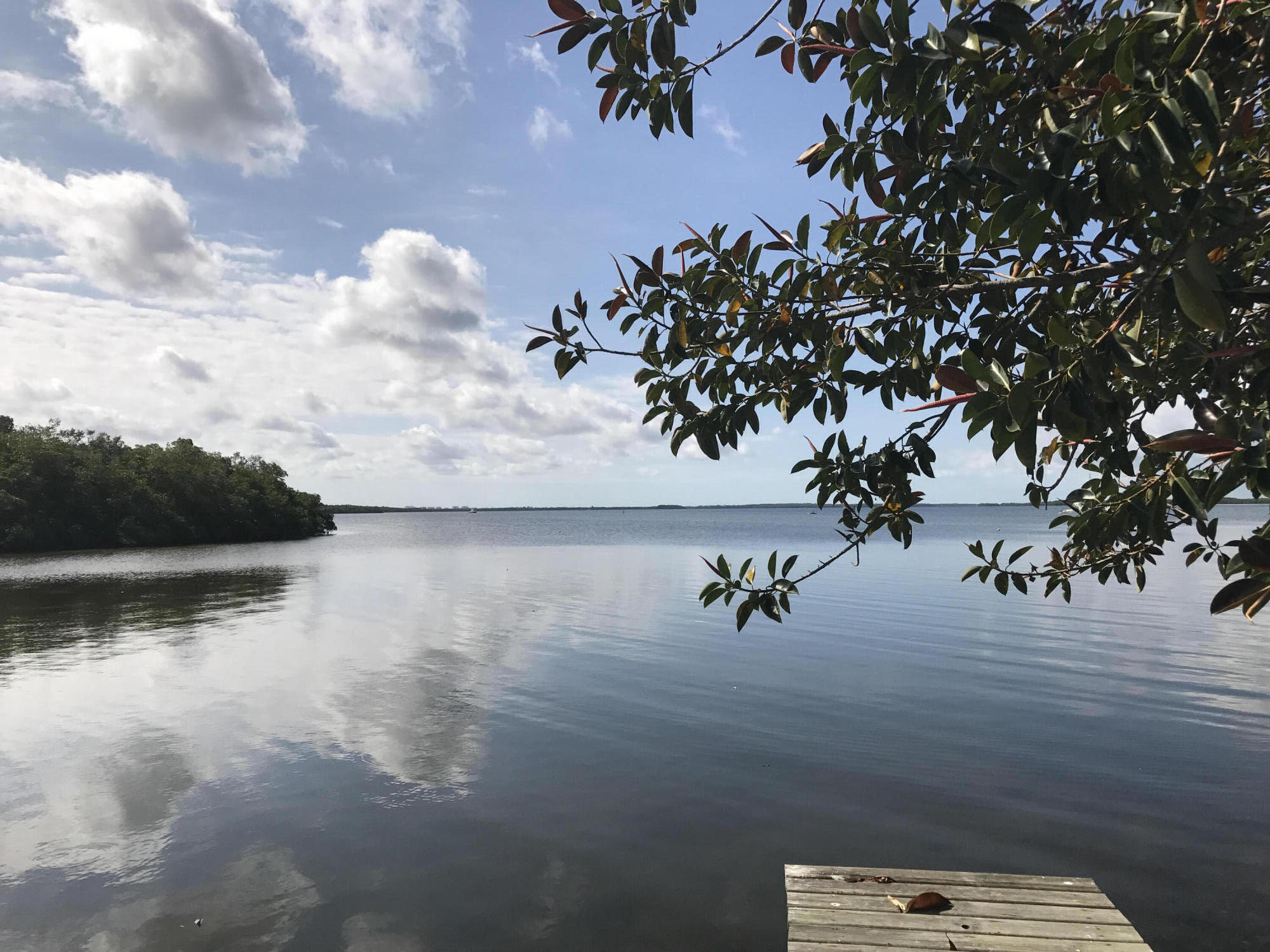 a view of a lake