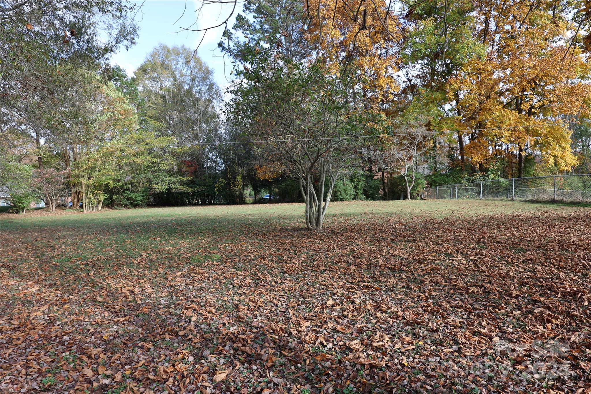 a view of a yard with a tree