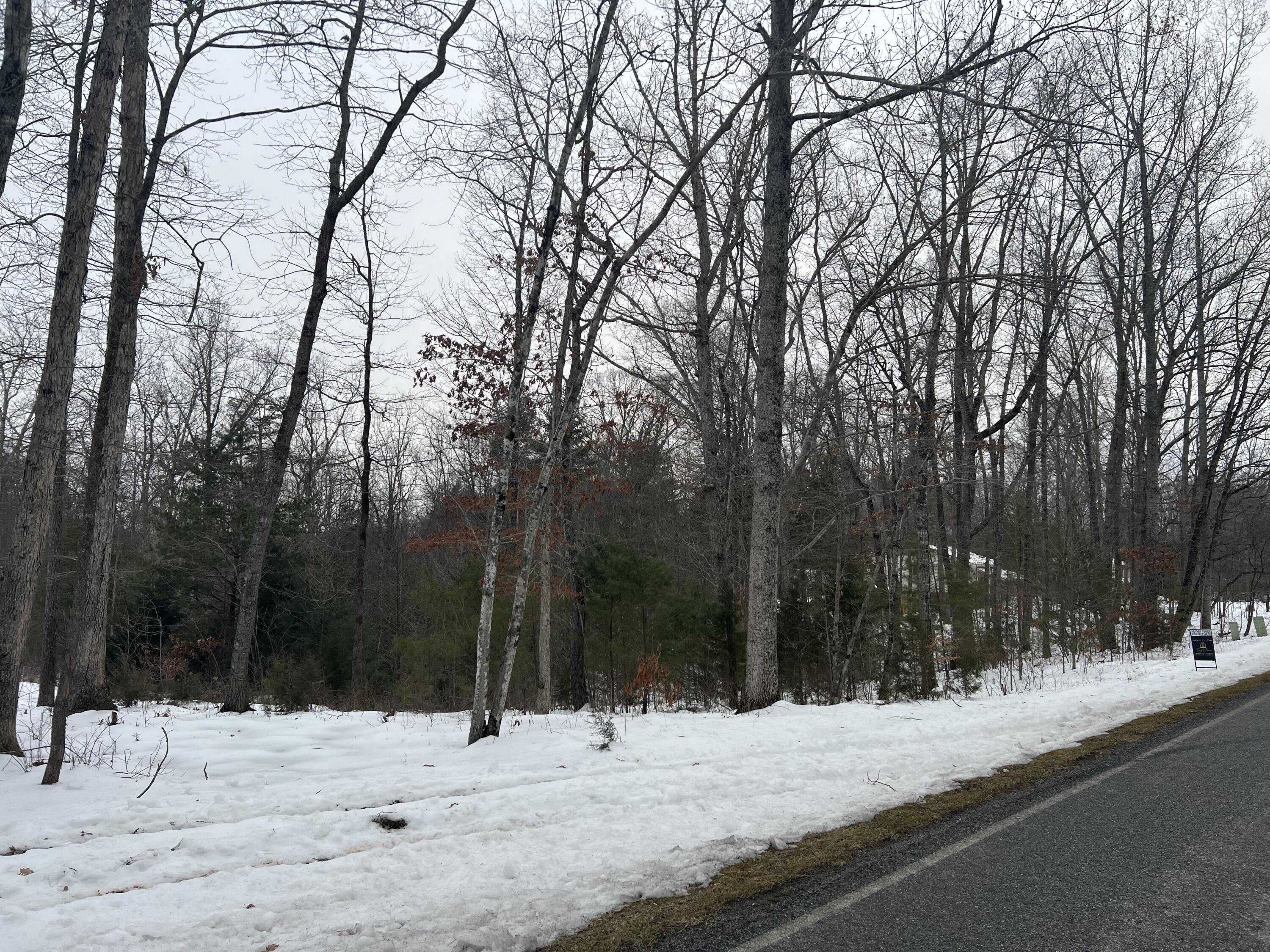 a view of a snow on the side of a road