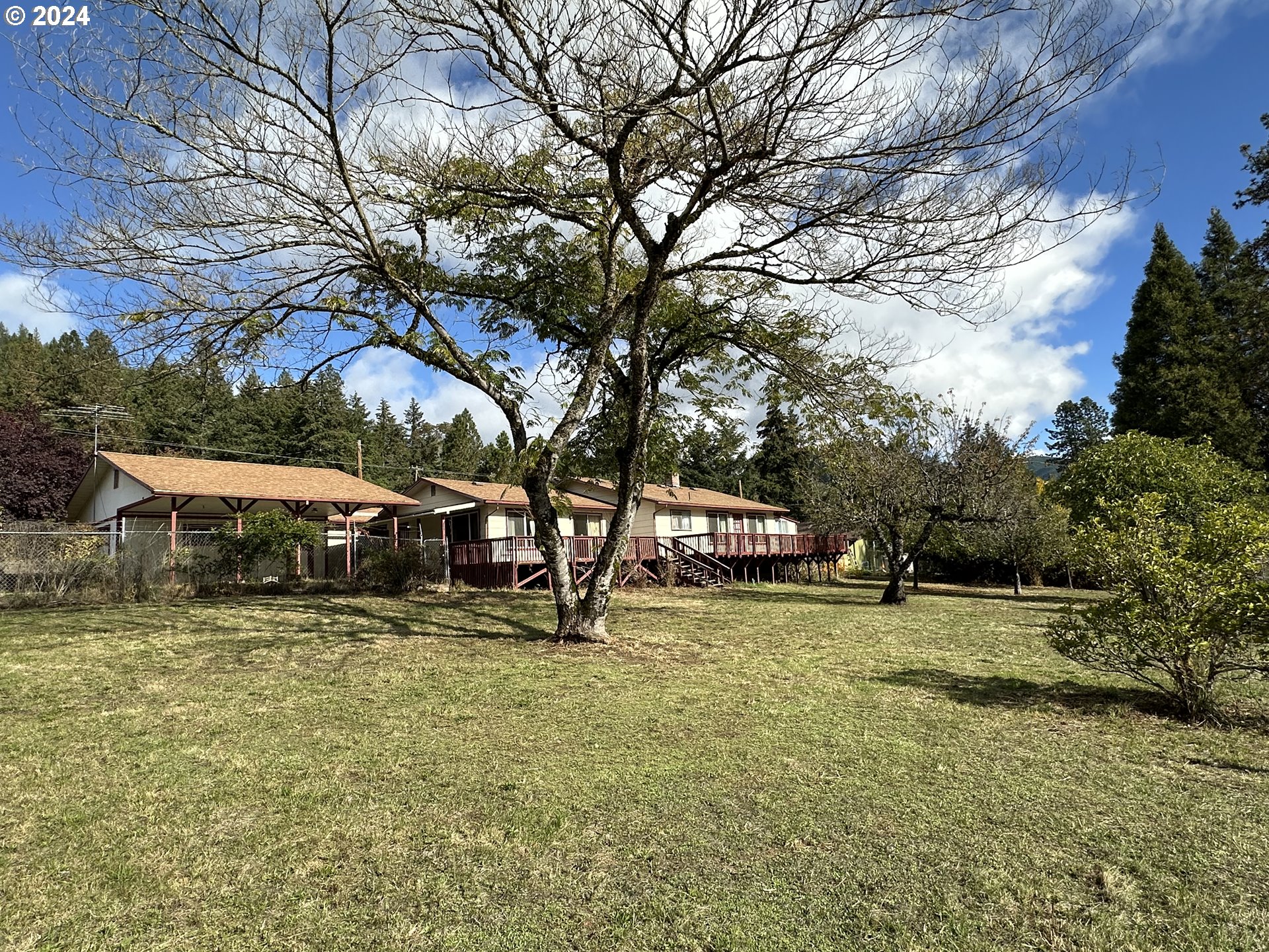 a view of a large tree in front of a house