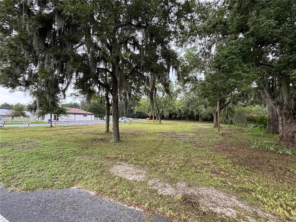 a view of outdoor space with trees