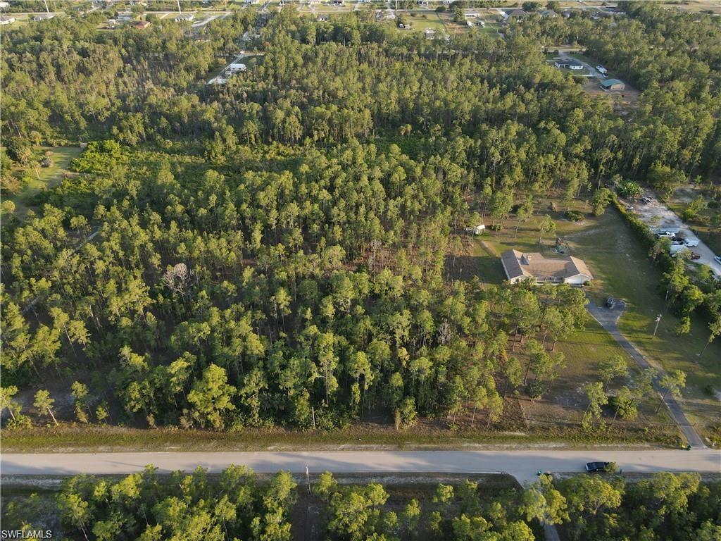 a view of yard with large trees