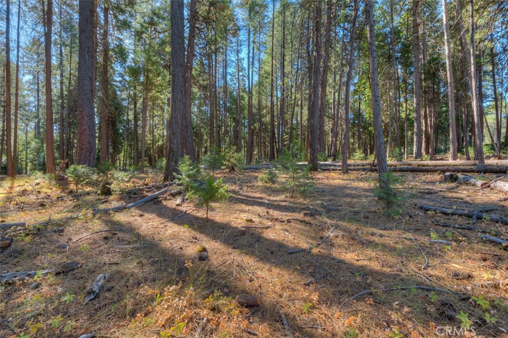 a view of outdoor space with trees