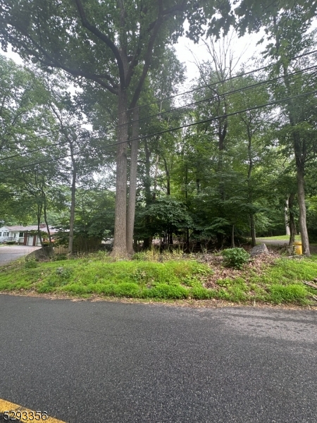 a backyard of a house with plants and large trees