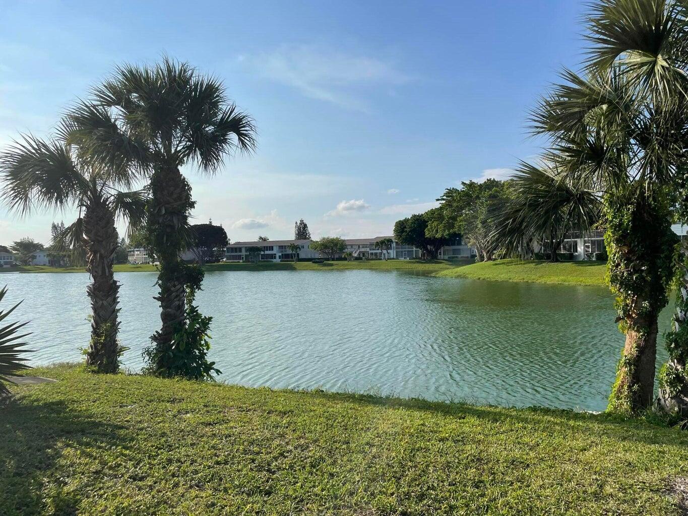 a view of a lake from a yard