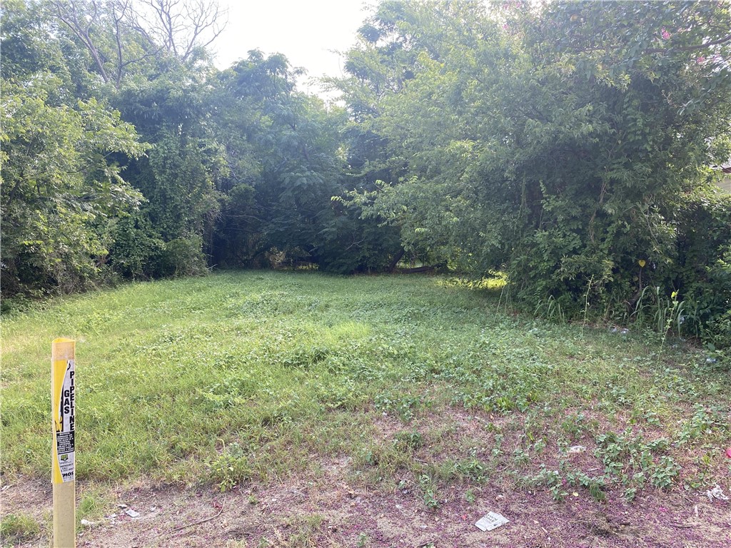 a view of a green field with lots of bushes