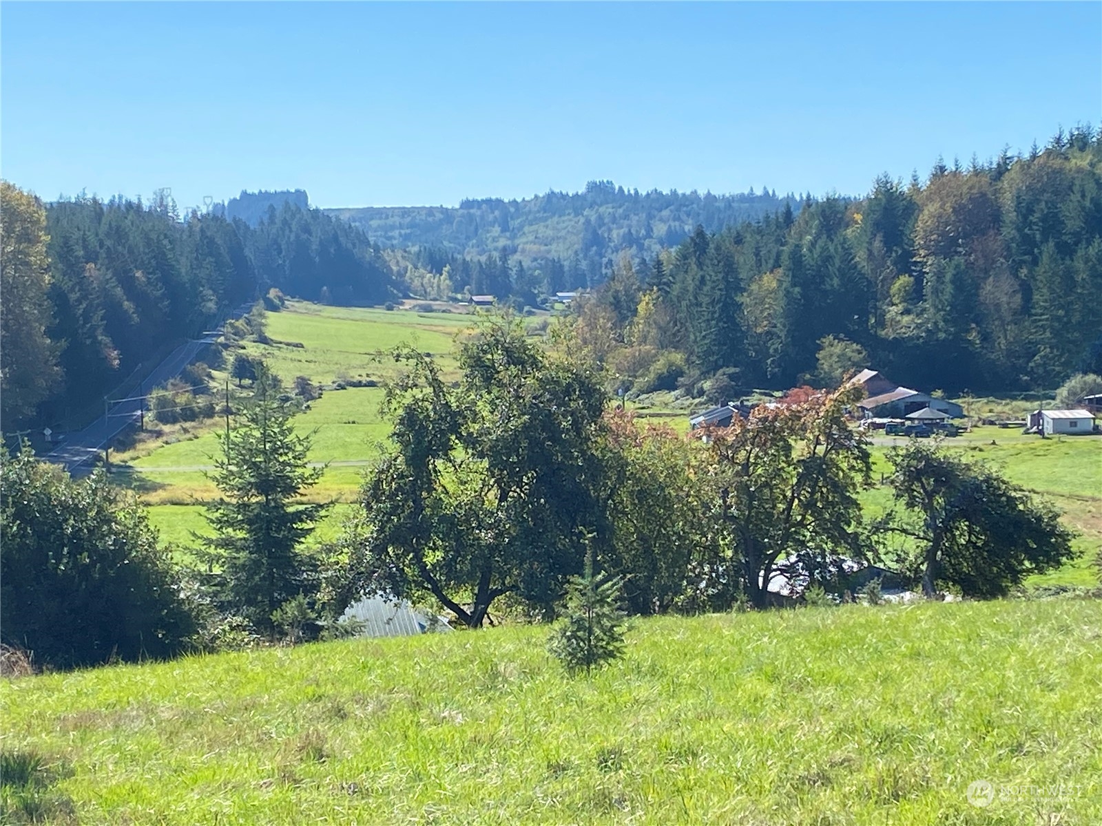 a view of a garden with mountain