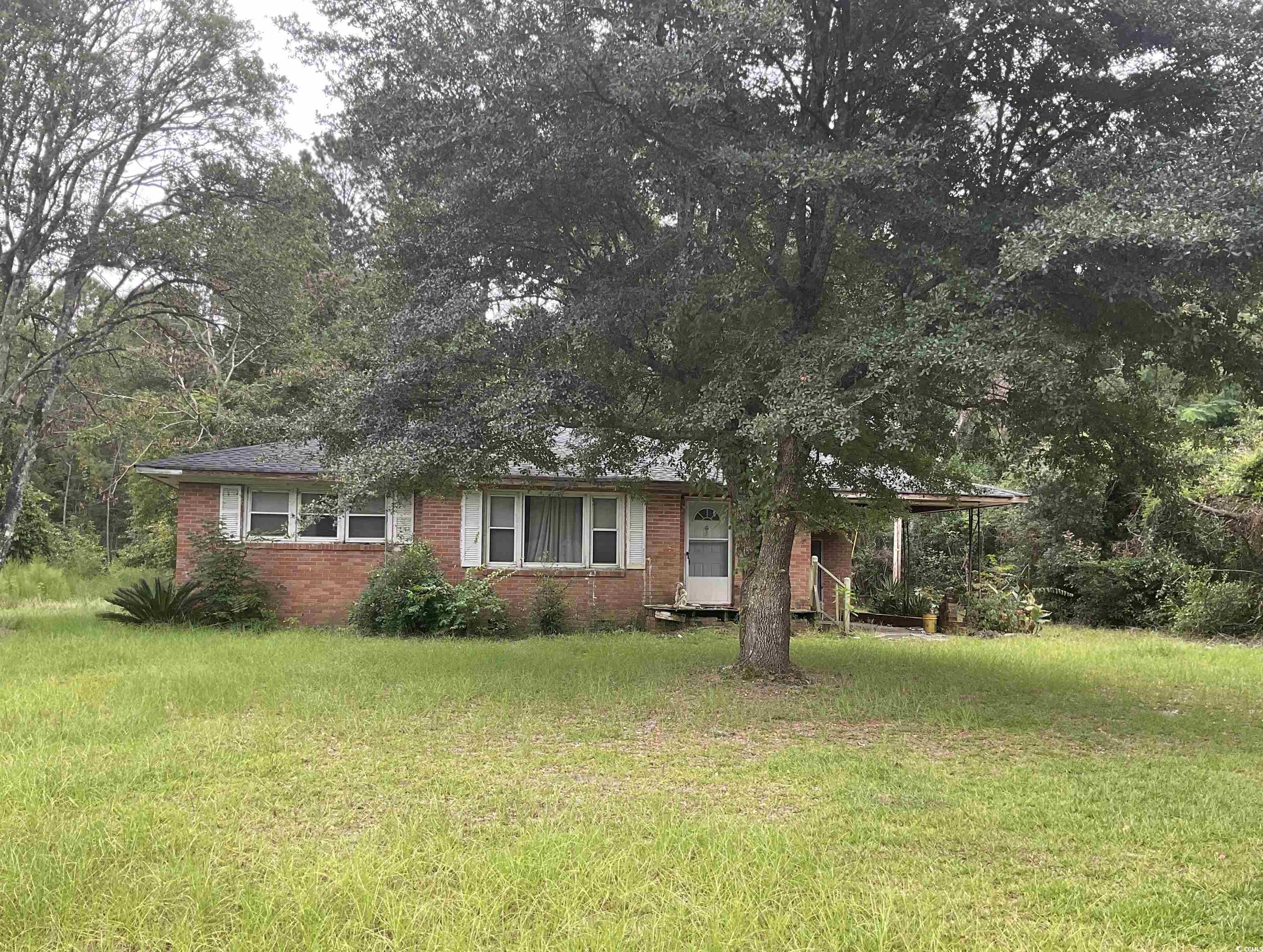 Single story home with a front yard