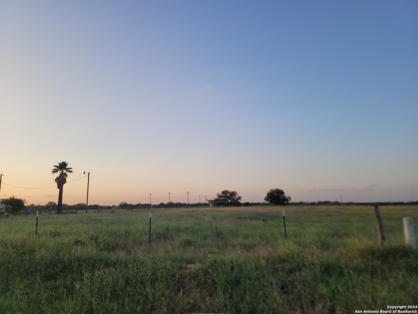 a view of green field with grass