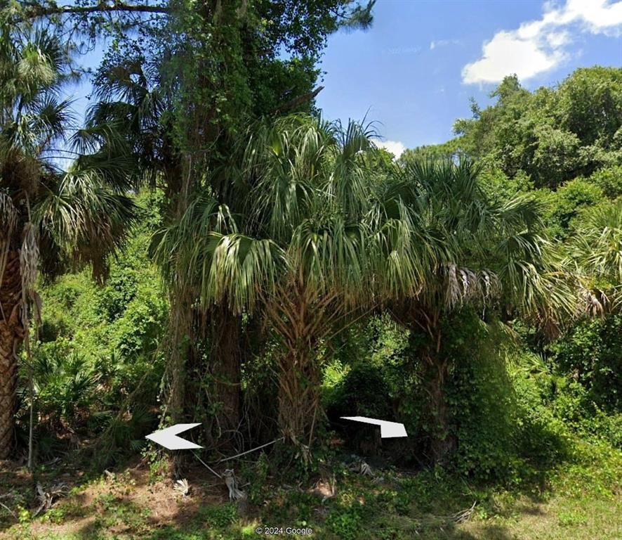 a view of outdoor space and yard