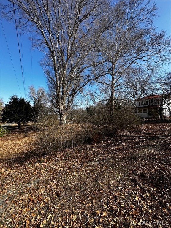 a view of a yard with plants and trees