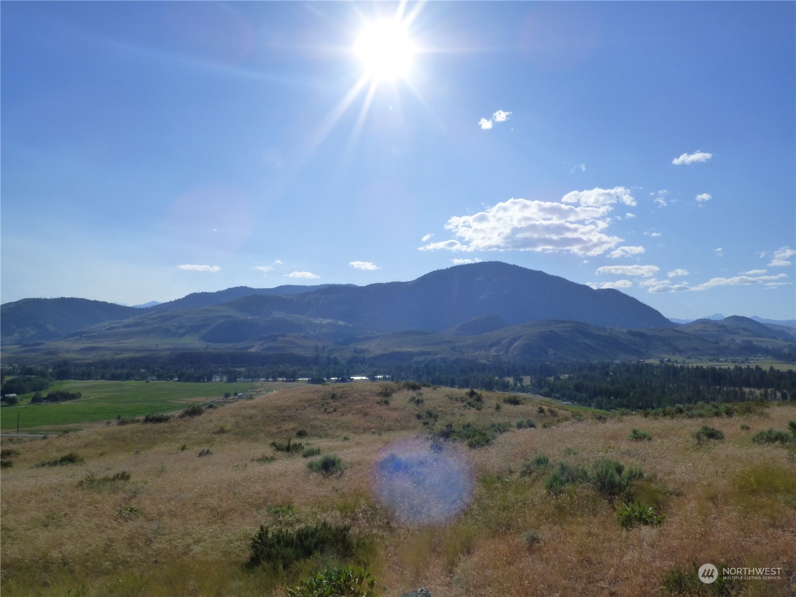 a view of a dry yard with mountains in the background