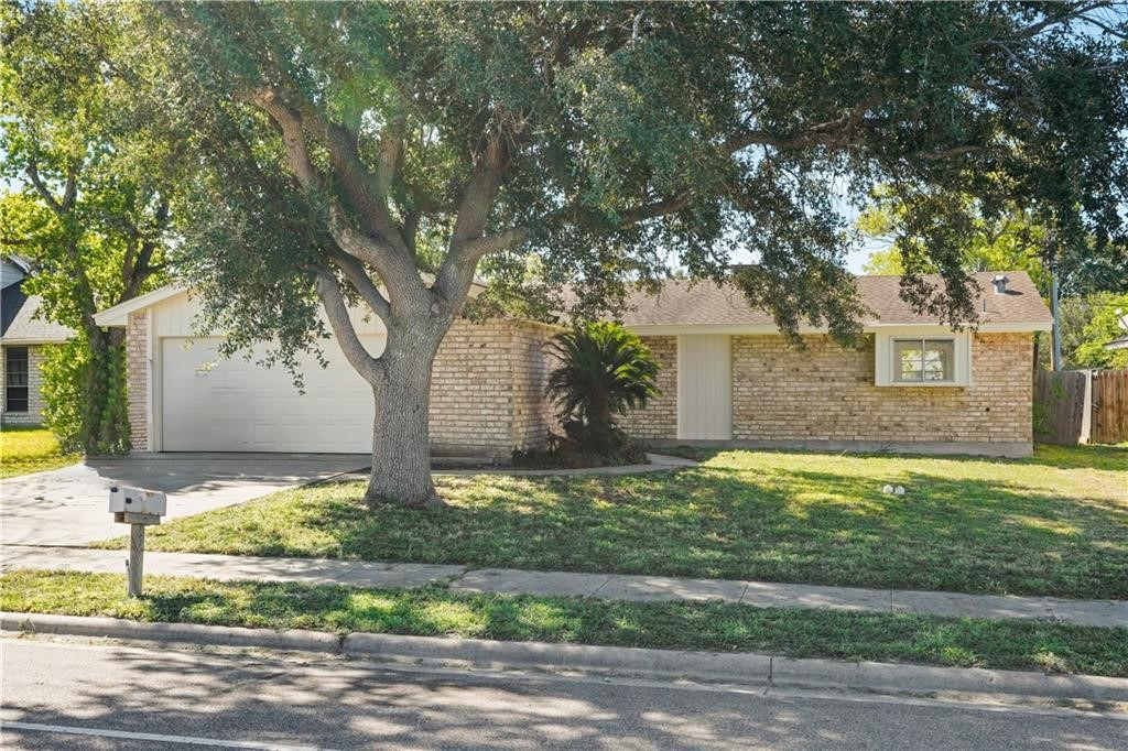 a house that has a tree in front of it