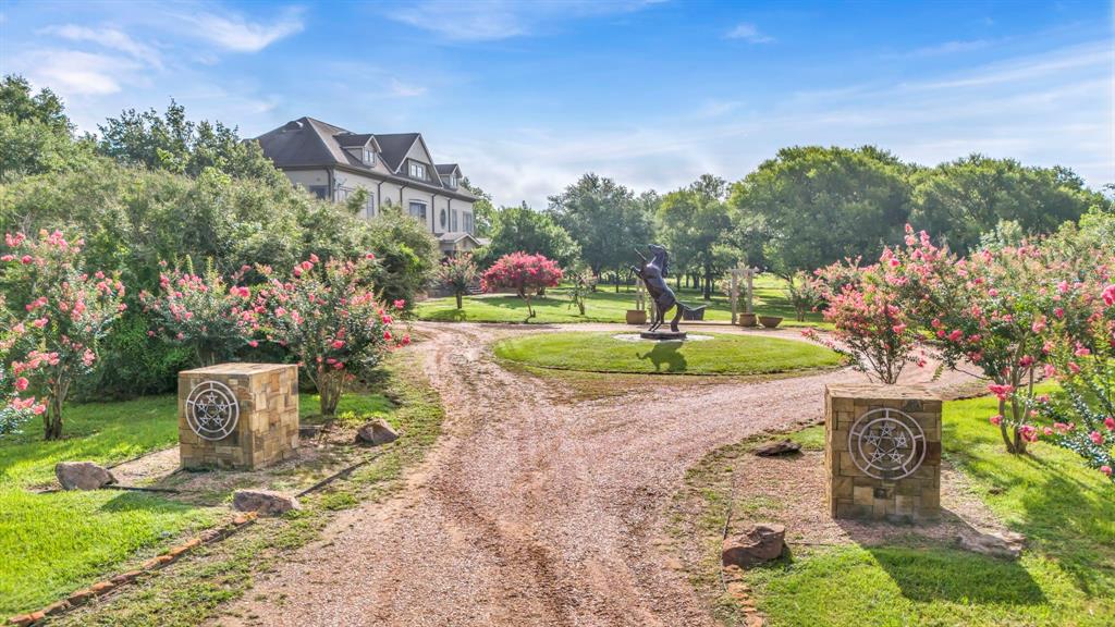 a view of a garden with a fountain