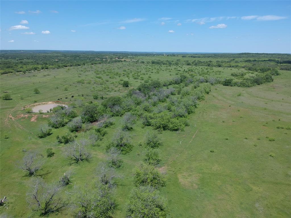 a view of a big yard