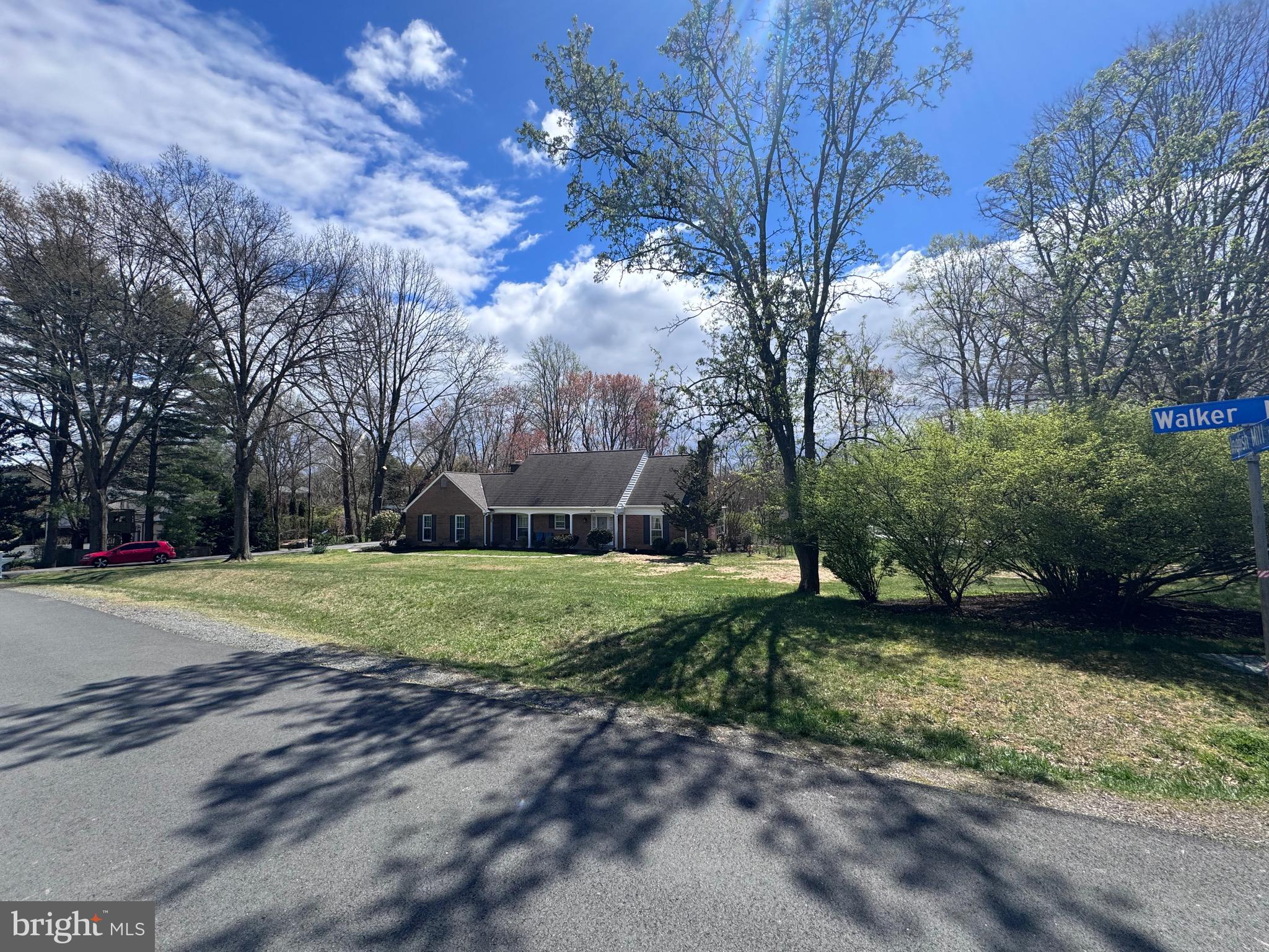 a view of a backyard with large trees