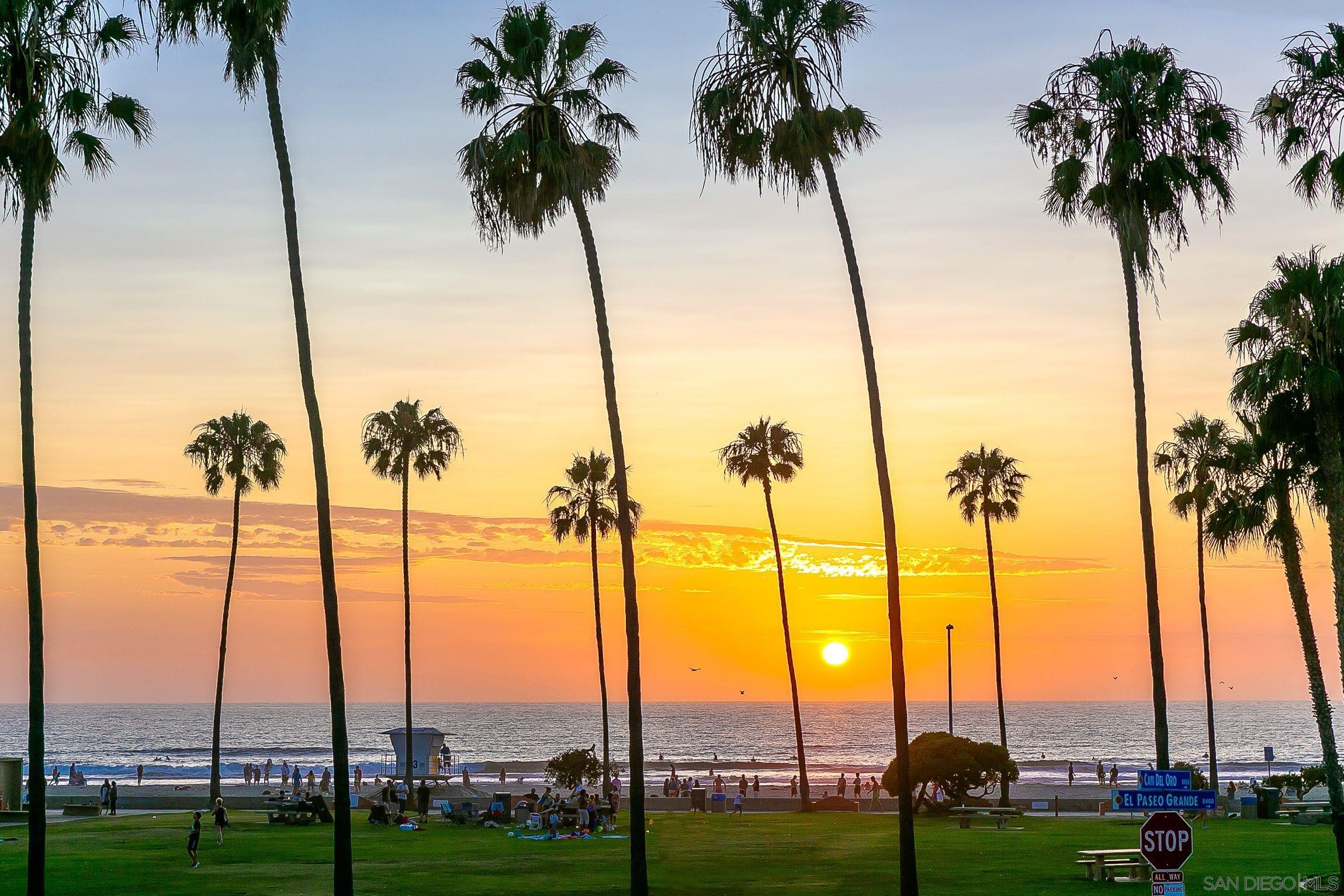 an ocean view with palm palm trees