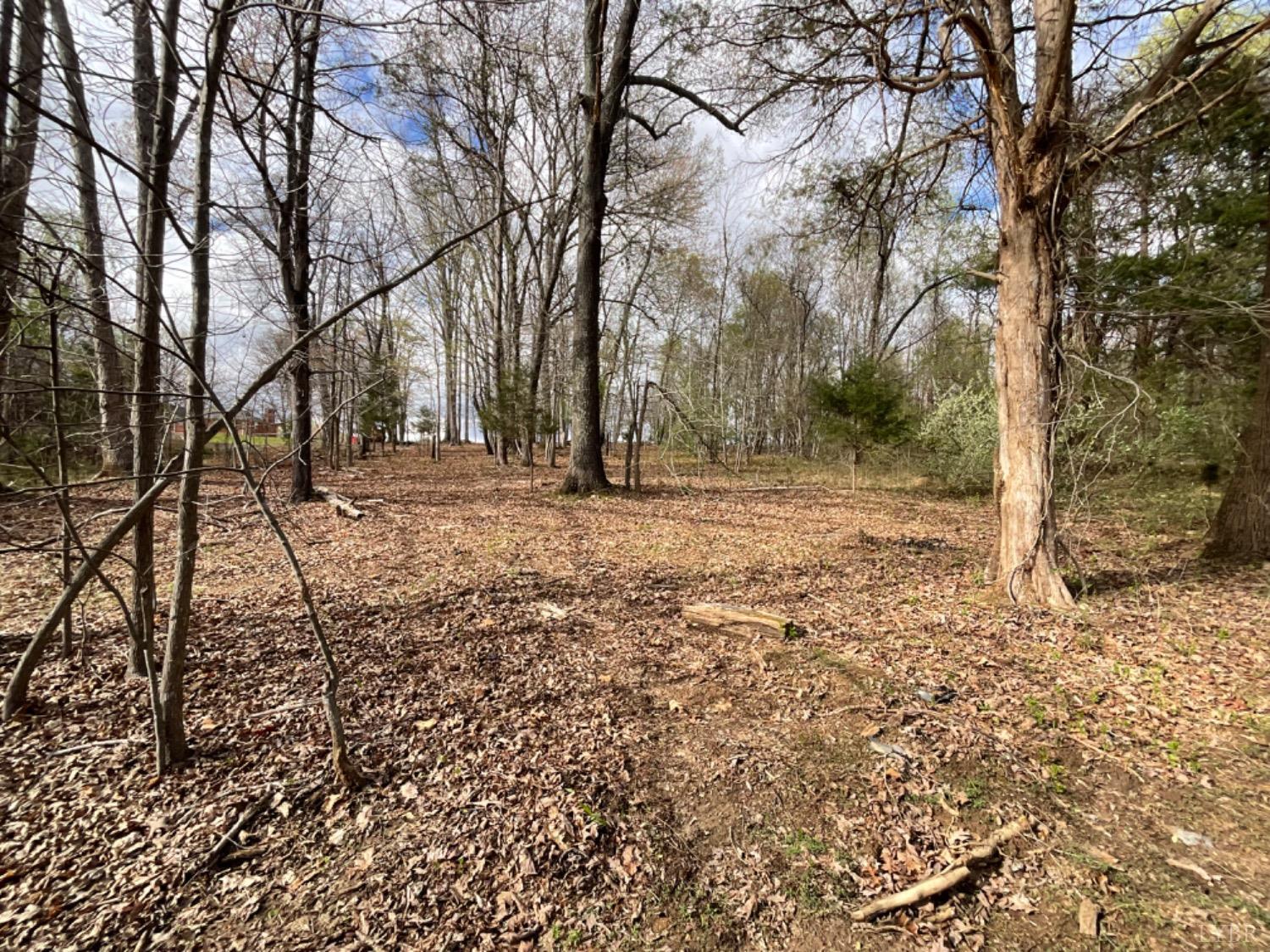 a view of outdoor space with trees