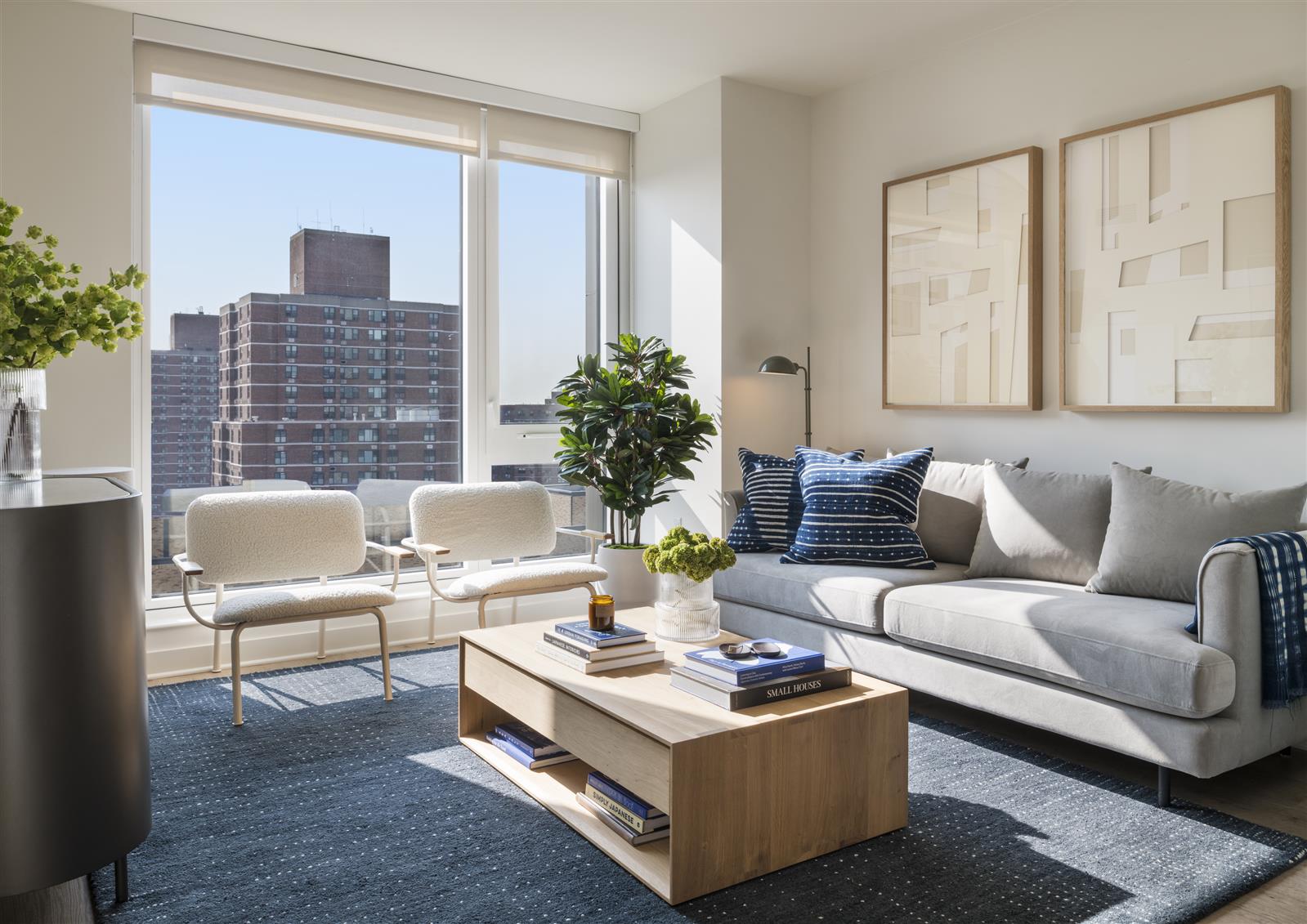 a living room with furniture and a potted plant