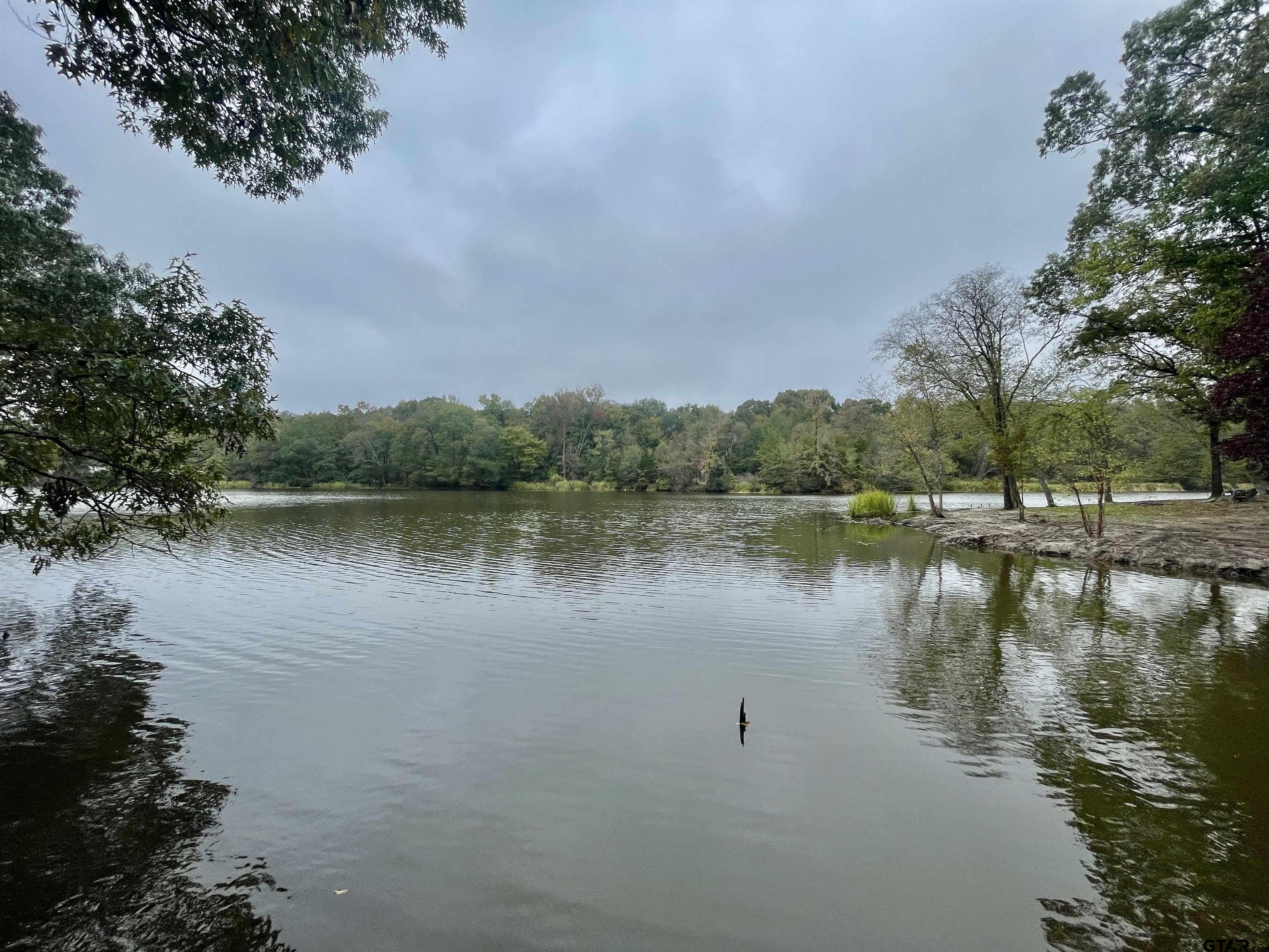 a view of a lake with houses