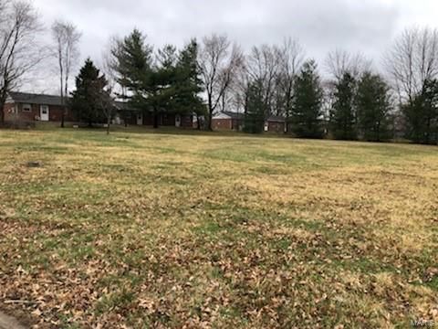 $10,000 | 0 Lot 48 Megan Street | Jerseyville