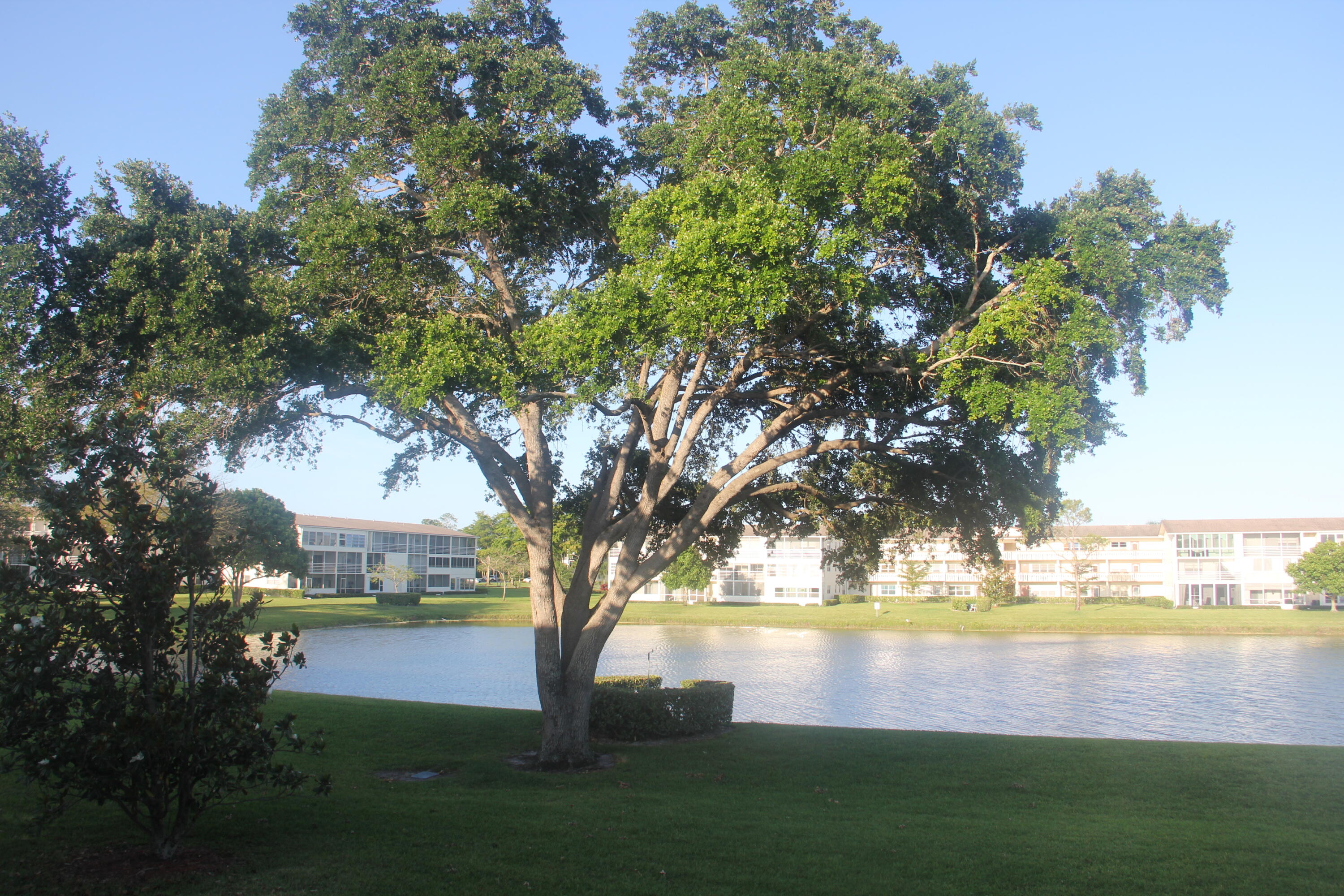 a view of lake with green space