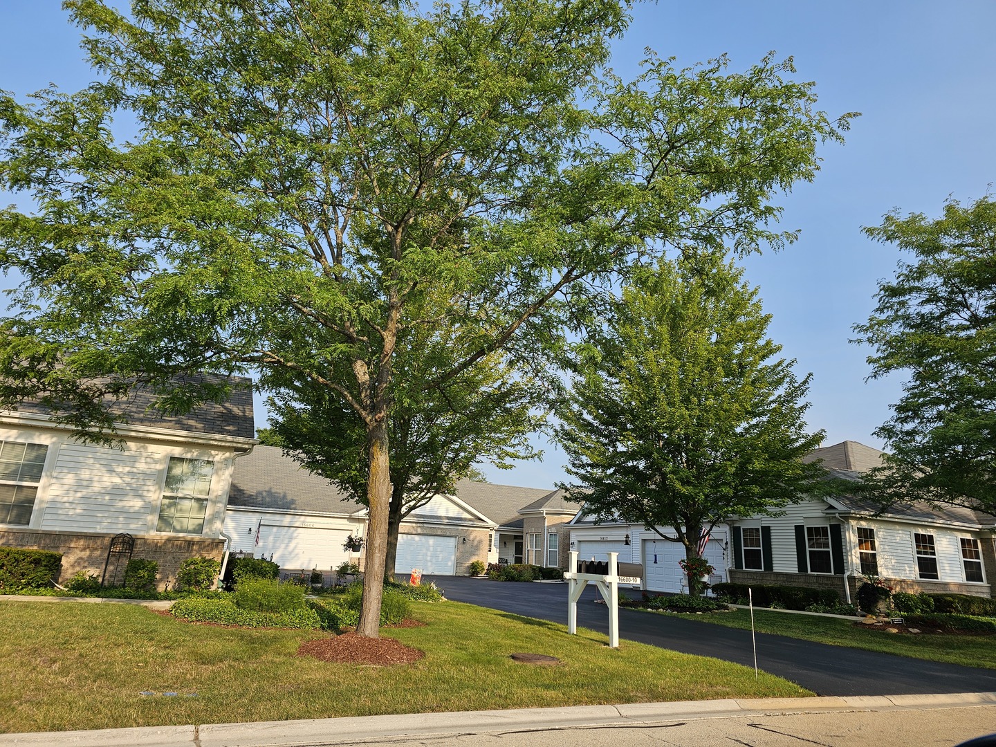 a view of a trees in front of a house