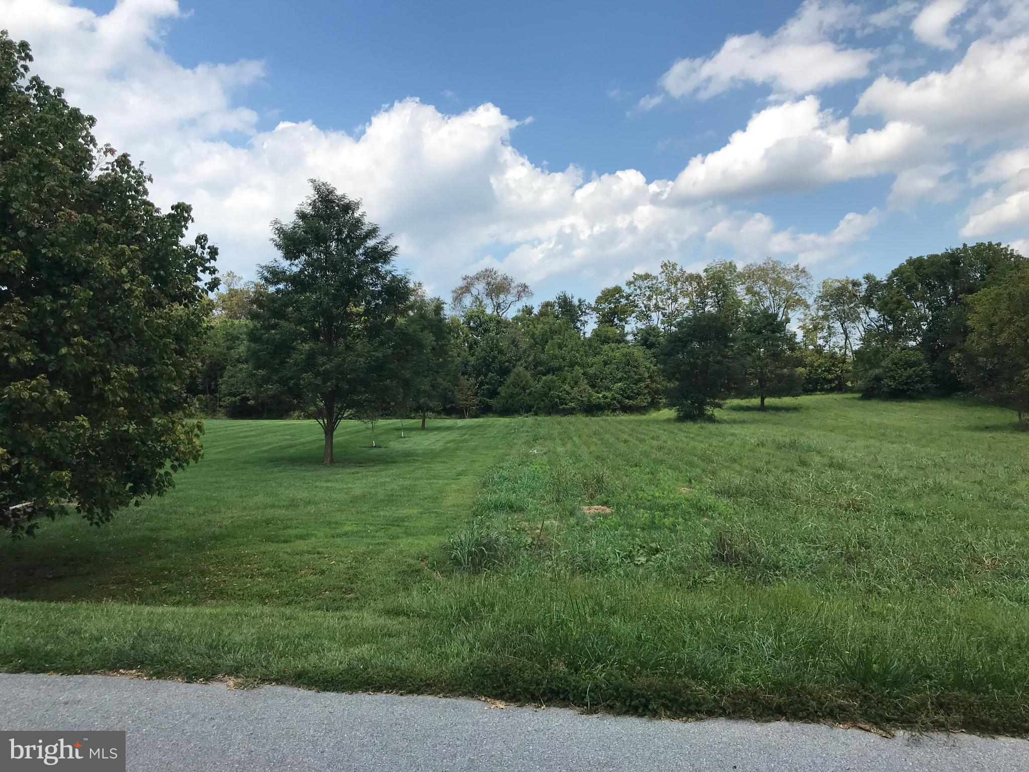 a view of a grassy field