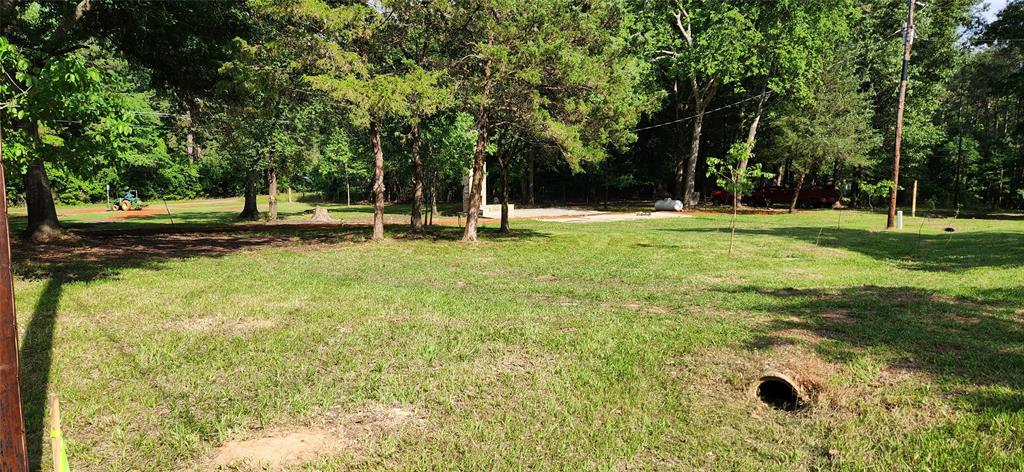 a view of a backyard with large trees