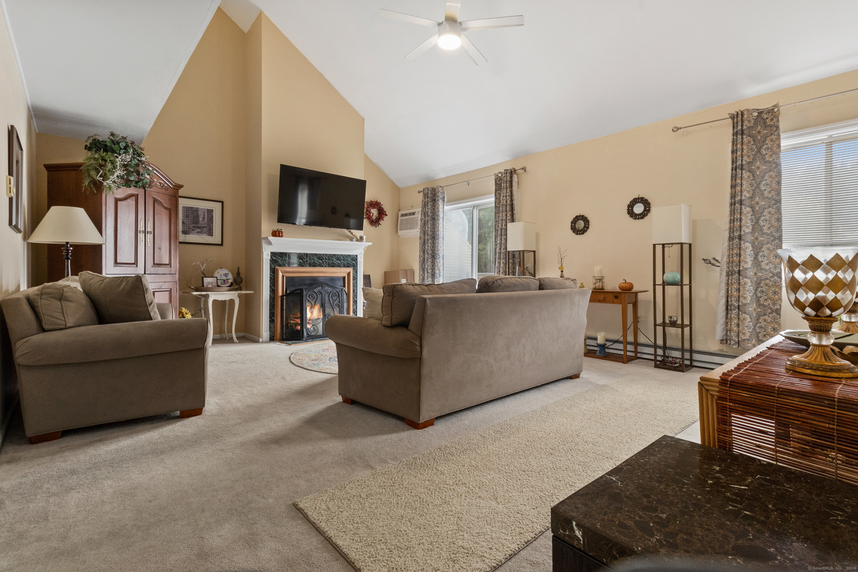 a living room with furniture a flat screen tv and a fireplace