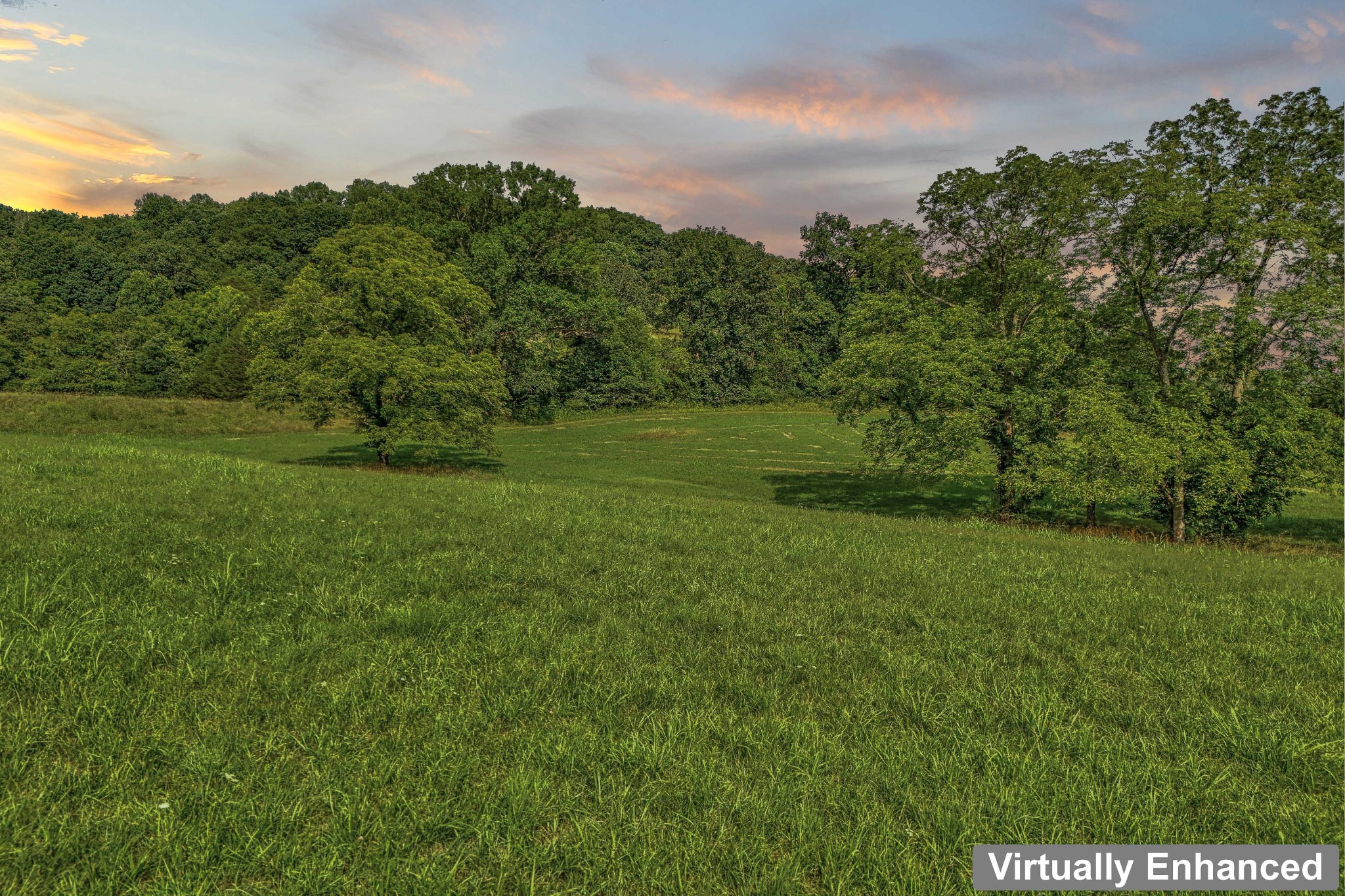 a view of a grassy field with trees