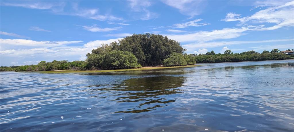 a view of a lake from a yard