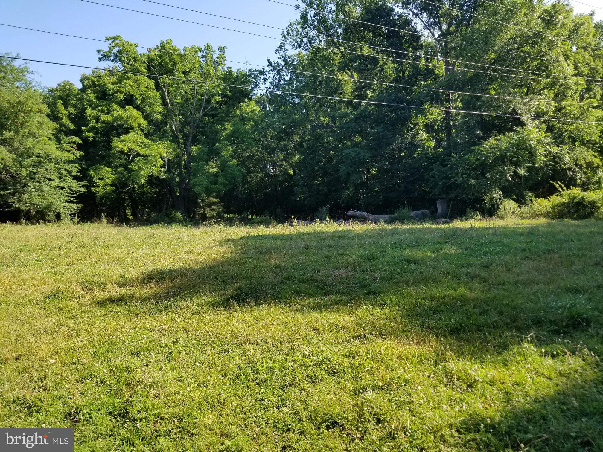 a view of a green yard