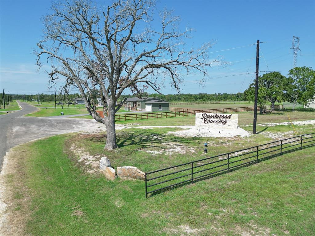 a view of a park with large trees