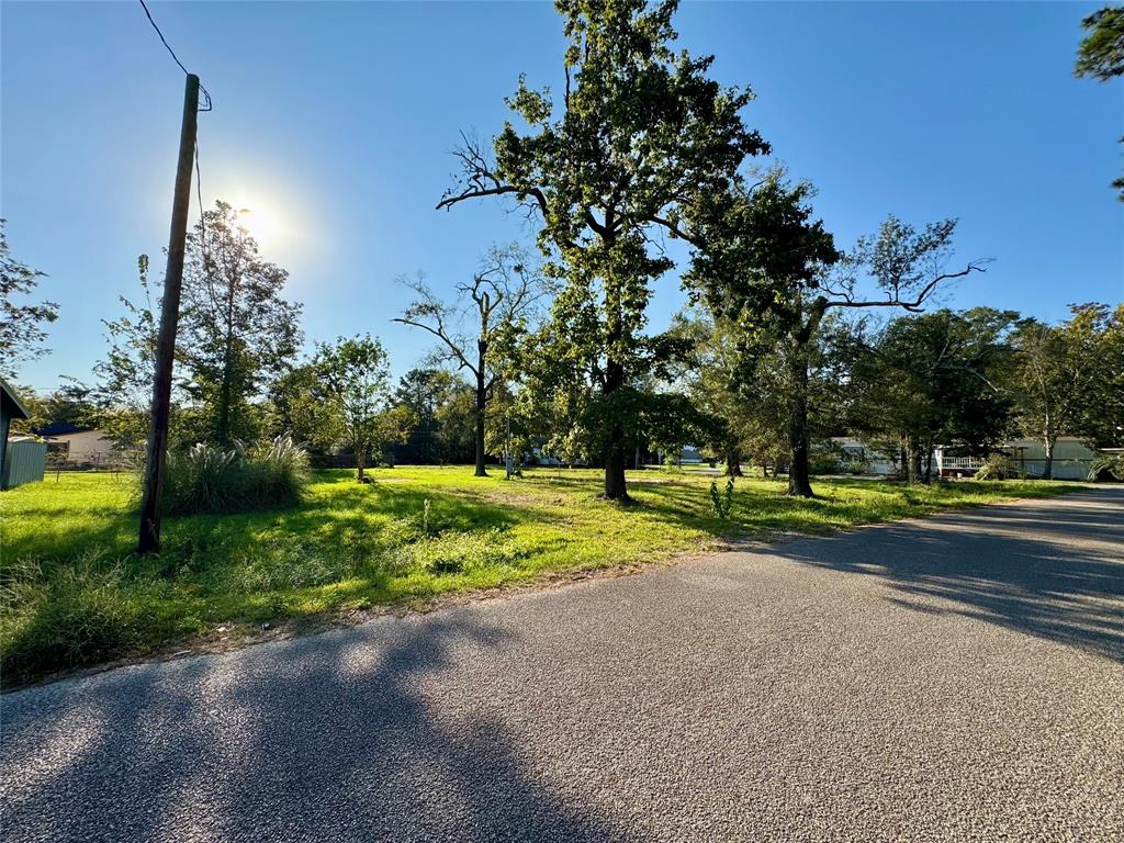 a view of road and trees