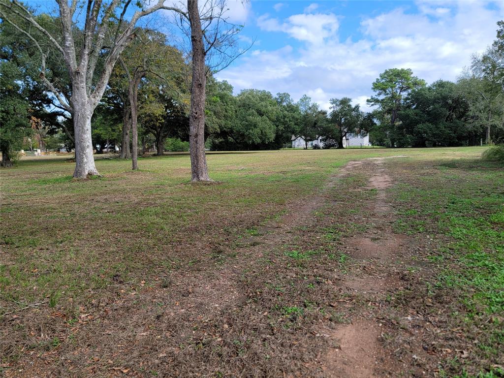 a view of a field with trees