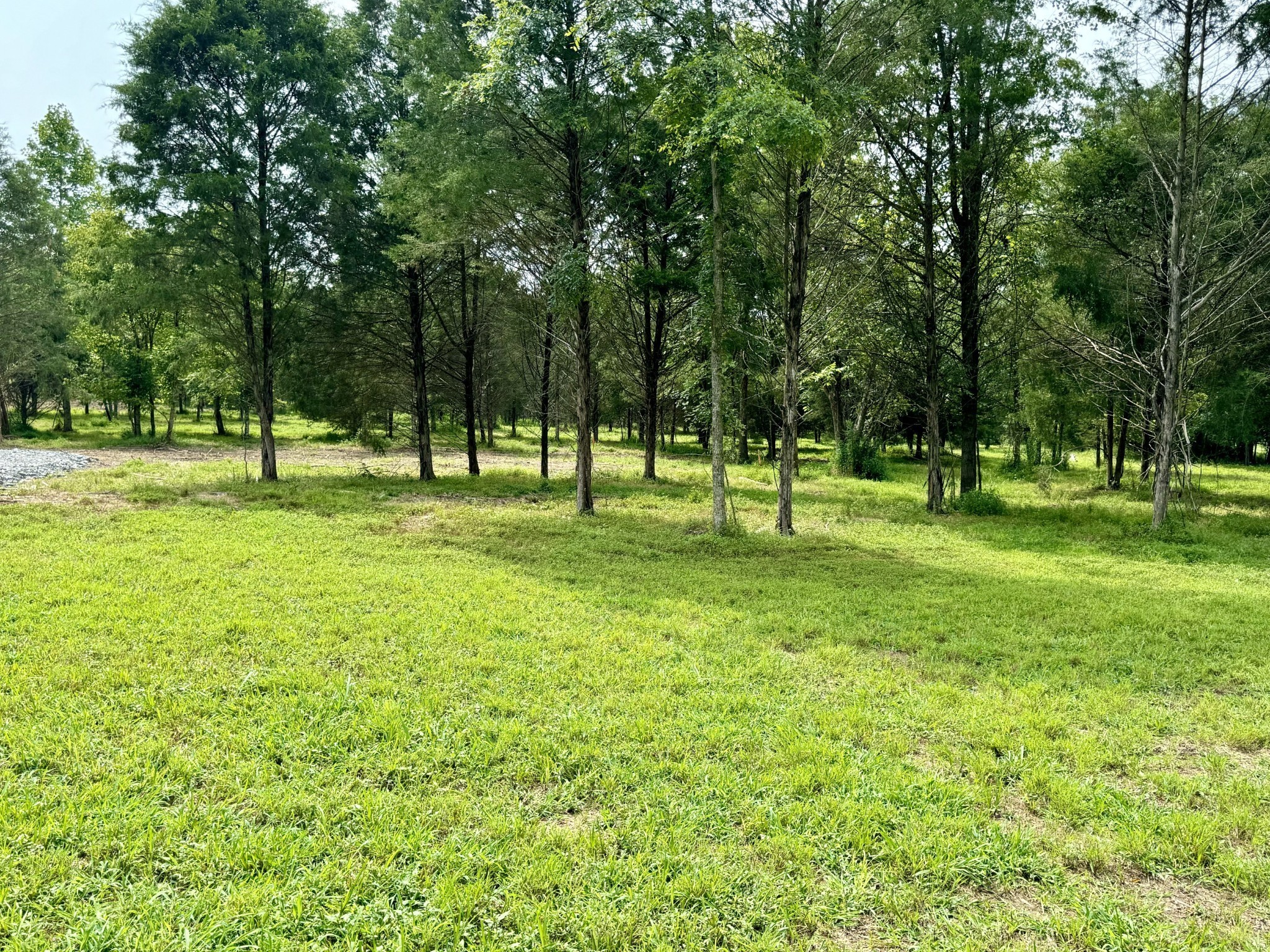 a view of field with trees